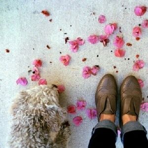 Meet your Posher, Alisbeth